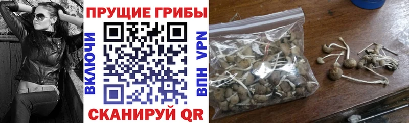 закладки kraken как зайти Галлюциногенные грибы Magic Shrooms Нестеровская