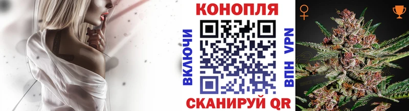 Каннабис Amnesia где продают блэк спрут ONION Нестеровская